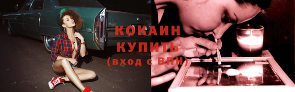 стаф Осташков