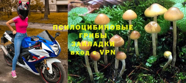 стаф Осташков