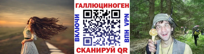 купить наркотик  Орёл  Галлюциногенные грибы Psilocybe 